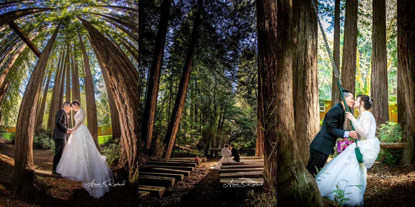 santa Cruz redwood Wedding