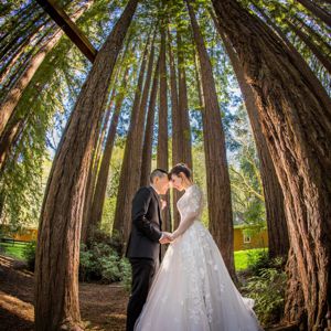 wedding photography in the Redwoods